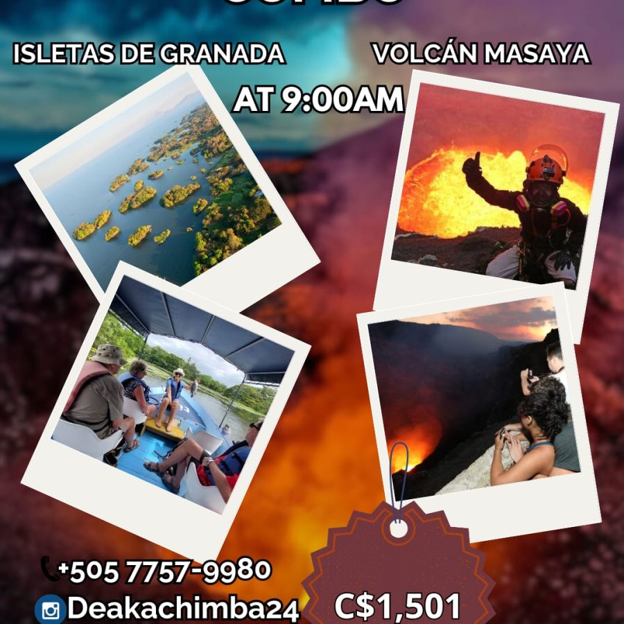 IMG-20260208-WA0009